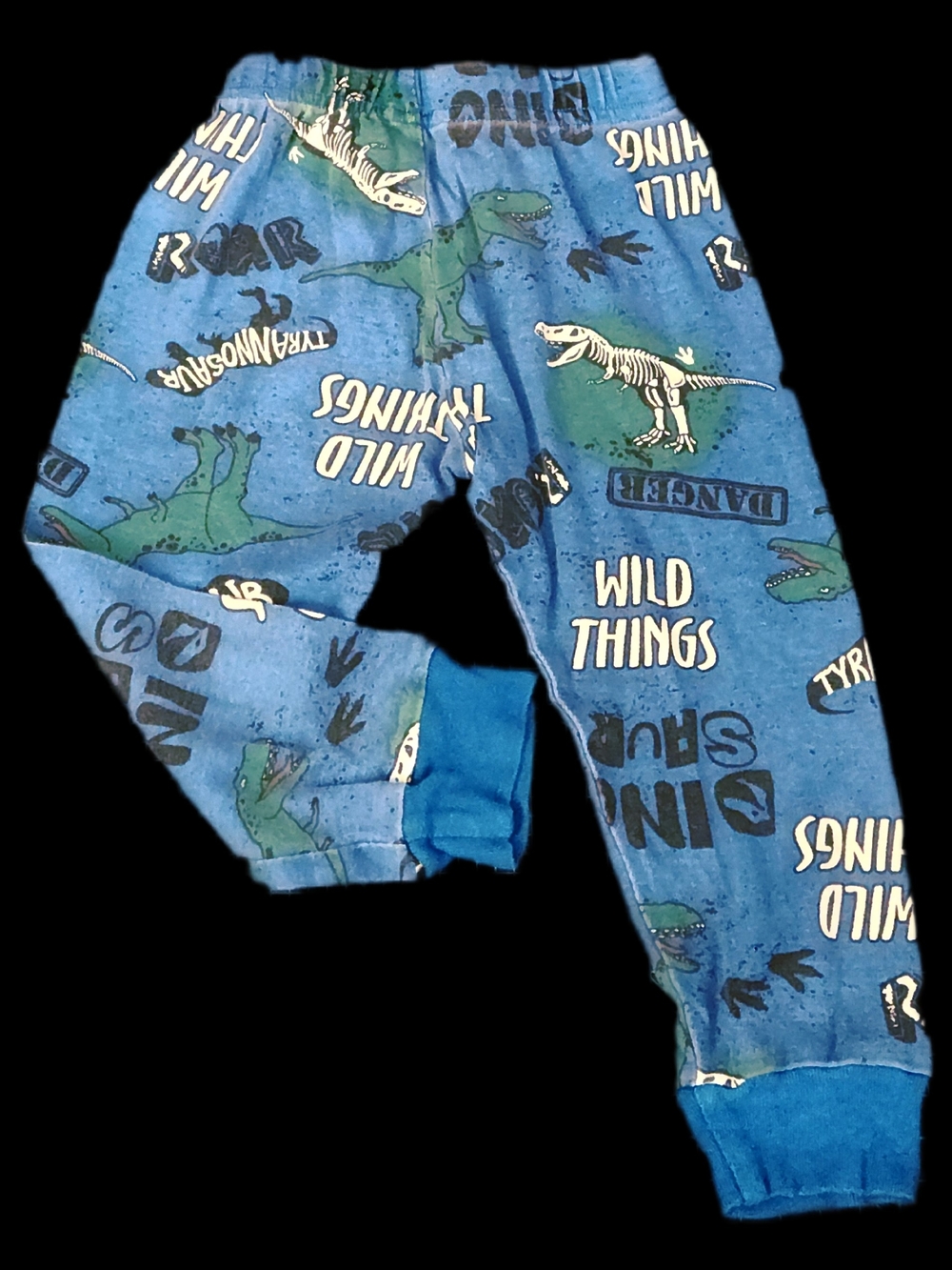 #IC107 Blue Dinosaur 'Wild Things' Kids Pajama Pants